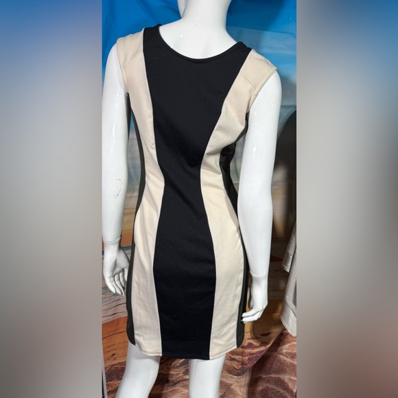 Hayden color block dress - Picture 4 of 5